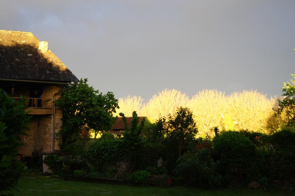 Salles-Courbatiès La Maison De Louna Bed & Breakfast エクステリア 写真